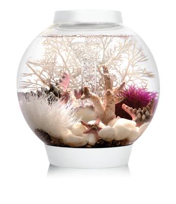 biOrb CLASSIC 15 MCR wit