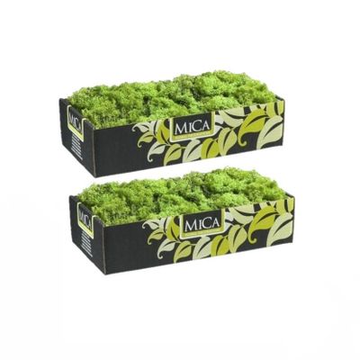 4x pakjes decoratie/hobby mos groen 500 gram