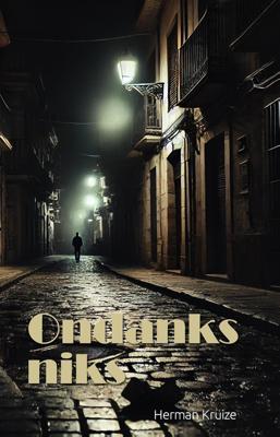 Ondanks Niks - Herman Kruize - ebook