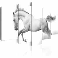 Schilderij - Paard - Passie en Vrijheid, Schimmel, zwart/wit, wanddecoratie ,print op canvas , 5luik