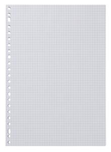HEMA Ringbandpapier Geruit 5x5mm - 100 Stuks