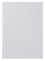 HEMA Ringbandpapier Geruit 5x5mm - 100 Stuks HEMA Ringbandpapier Geruit 5x5mm - 100 Stuks