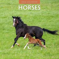 Paarden Kalender 2026