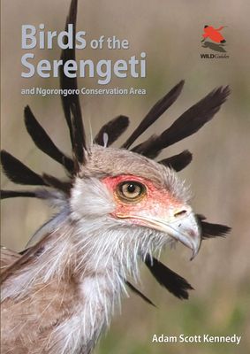 Vogelgids Birds of the Serengeti | Princeton University Press