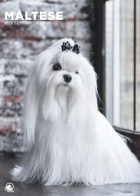 Maltezer A3 Kalender 2026