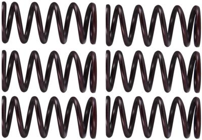 TRW koppelingsveren set clutch spring kit mef300-6