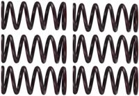 TRW koppelingsveren set clutch spring kit mef300-6