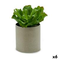Decoratieve plant Ibergarden 20 x 25 x 20 cm (6 Stuks)