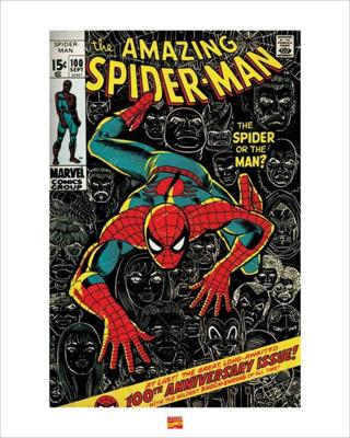 Kunstdruk Spider-Man 40x50cm