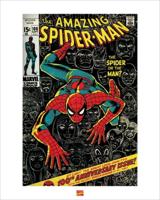 Kunstdruk Spider-Man 40x50cm