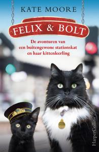 Felix & Bolt (Paperback)