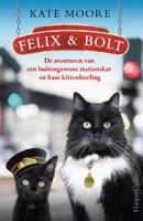Felix & Bolt (Paperback)