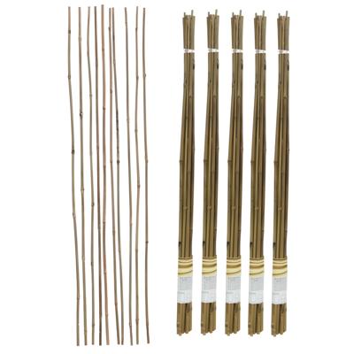 Gerimport Plantenstokken - 50x stuks - 90 cm - plantensteun / tonkinstokken