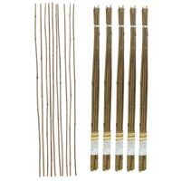 Gerimport Plantenstokken - 50x stuks - 90 cm - plantensteun / tonkinstokken