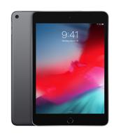 Apple iPad mini 256 GB 20,1 cm (7.9") Wi-Fi 5 (802.11ac) iOS 12 Grijs - thumbnail