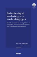 Radicalisering bij minderjarigen en overheidsingrijpen - N.U. van Capelleveen - ebook
