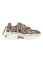 DWRS Jupiter Leopard Glimmer J5554C-91-8411 Beige maat