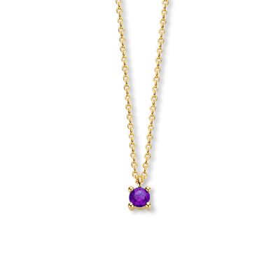 Ketting Geboortesteen Februari Amethist paars geelgoud 40 - 42 - 44 cm