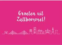 Wolplein Ansichtkaart - Groeten uit Zaltbommel!