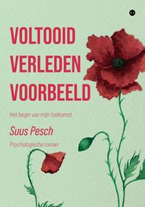 Voltooid verleden voorbeeld (Paperback)