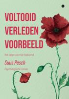 Voltooid verleden voorbeeld (Paperback)