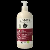 Family shampoo berk & plantaardige proteine 500 Milliliter