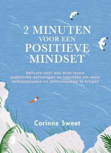 2 minuten voor een positieve mindset (Paperback)