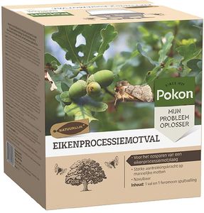 Pokon Eikenprocessiemotval