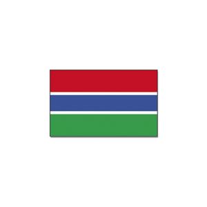 Vlag Gambia 90 x 150 cm feestartikelen