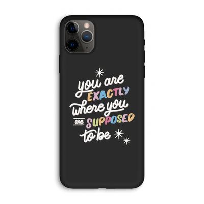 Right Place: iPhone 11 Pro Max Biologisch afbreekbaar hoesje