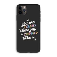 Right Place: iPhone 11 Pro Max Biologisch afbreekbaar hoesje