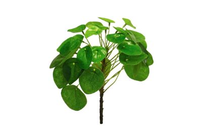 Kunsttak Pilea peperomioides 23cm