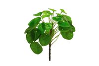 Kunsttak Pilea peperomioides 23cm