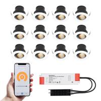 Set van 12 Medina Smart LED Mini Inbouwspots - Veranda spots - 12V 3W 150lm - Dimbaar - Kantelbaar - Wifi & Bluetooth - 2700K - IP44 - Wit