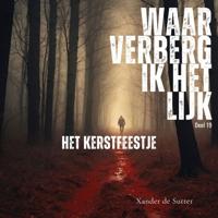 Het kerstfeestje