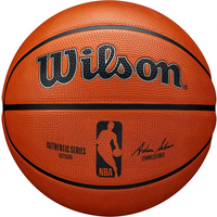 Wilson Basketbal Evolution Indoor Game Ball - thumbnail