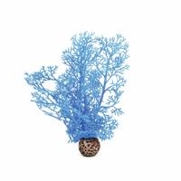 Hoornkoraal klein blauw - Biorb