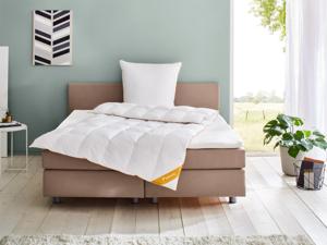 Balette Donzen dekbed Gold-Edition medium (155 x 220 cm)
