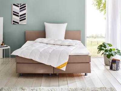 Balette Donzen dekbed Gold-Edition medium (200 x 200 cm)