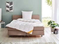 Balette Donzen dekbed Gold-Edition medium (155 x 220 cm)