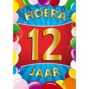 12 jaar mega deurposter 59 x 84 cm leeftijd verjaardag feestartikelen