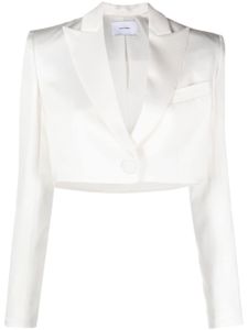 Alex Perry Gekreukte blazer - Wit