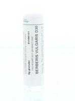 Berberis vulgaris D30 6 Gram