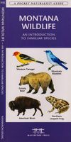 Vogelgids - Natuurgids Montana Wildlife | Waterford Press - thumbnail
