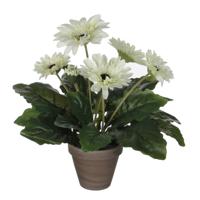 Mica Decorations Kunstplant - gerbera - wit - in pot - 35 cm - thumbnail