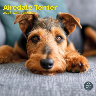 Airedale Terrier Kalender 2026