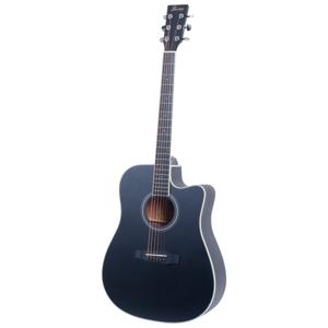 Fazley W70-DMBK ColourTune Dreadnought Matte Black westerngitaar