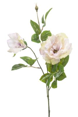 Rose liza spray x3 lt purple 80 cm - Emerald
