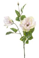 Rose liza spray x3 lt purple 80 cm - Emerald