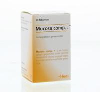 Mucosa compositum H - thumbnail